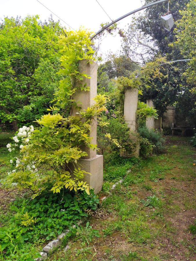 Aricelle Speziali Bed & Breakfast Specchia Gallone Dış mekan fotoğraf