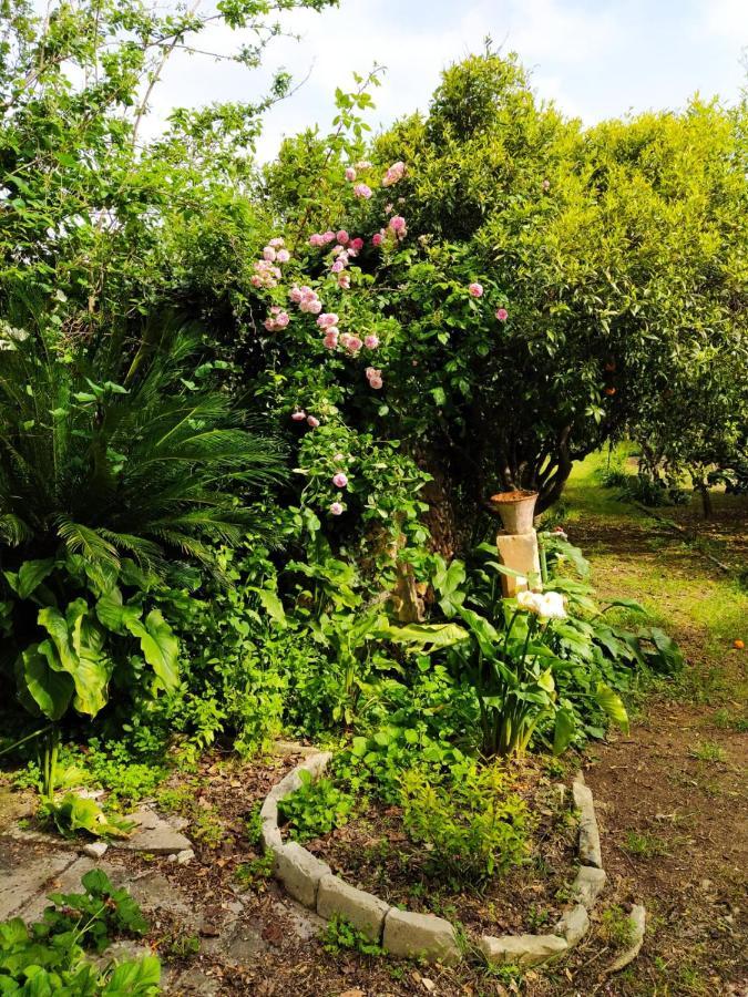 Aricelle Speziali Bed & Breakfast Specchia Gallone Dış mekan fotoğraf