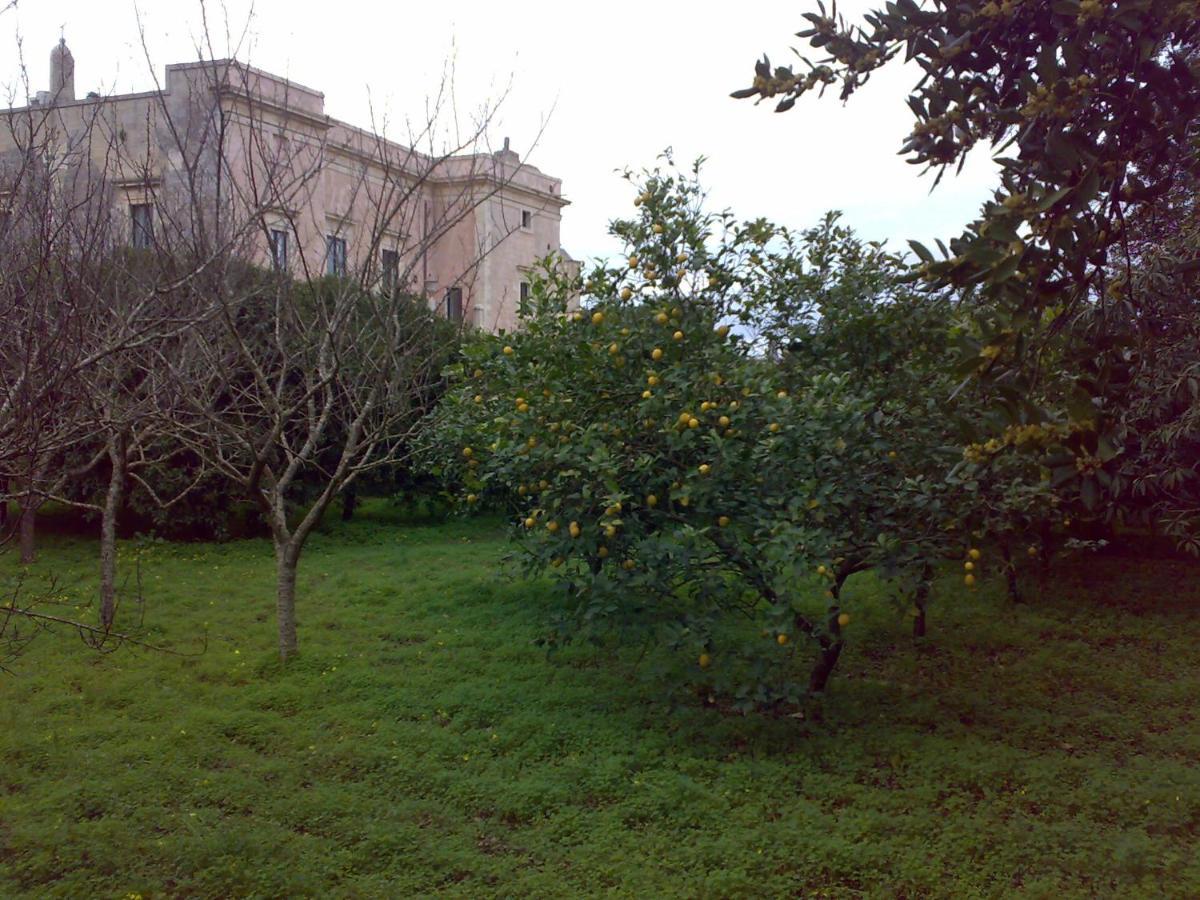 Aricelle Speziali Bed & Breakfast Specchia Gallone Dış mekan fotoğraf